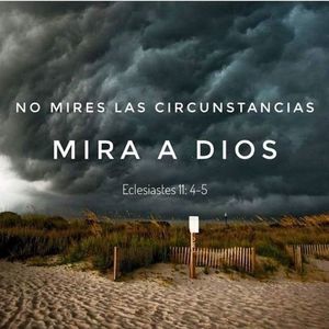 Meet your Posher, Milo